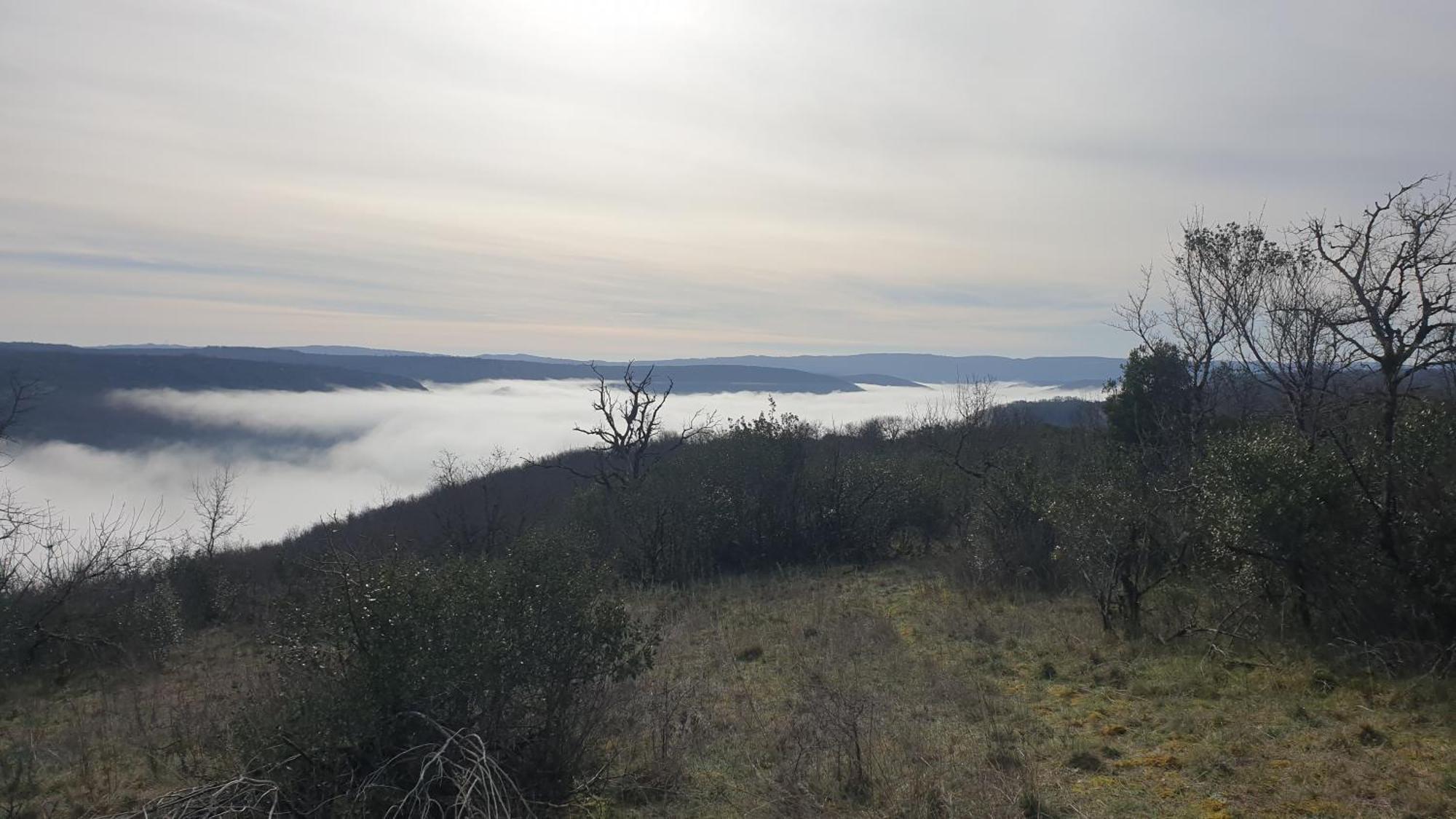 Seuls En Pleine Nature - Gite La Cote Blanche Puygaillard-de-Quercy Esterno foto