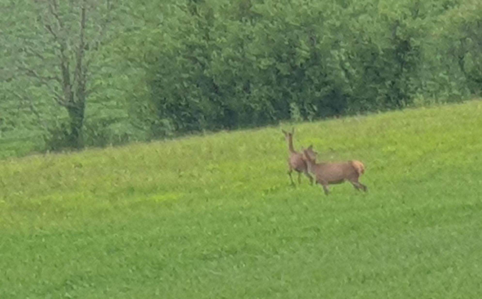Seuls En Pleine Nature - Gite La Cote Blanche Puygaillard-de-Quercy Esterno foto