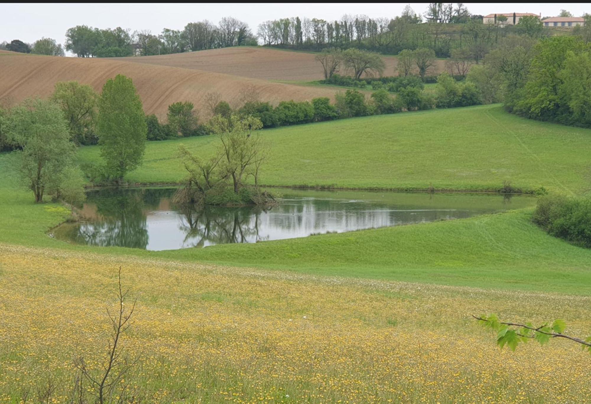 Seuls En Pleine Nature - Gite La Cote Blanche Puygaillard-de-Quercy Esterno foto