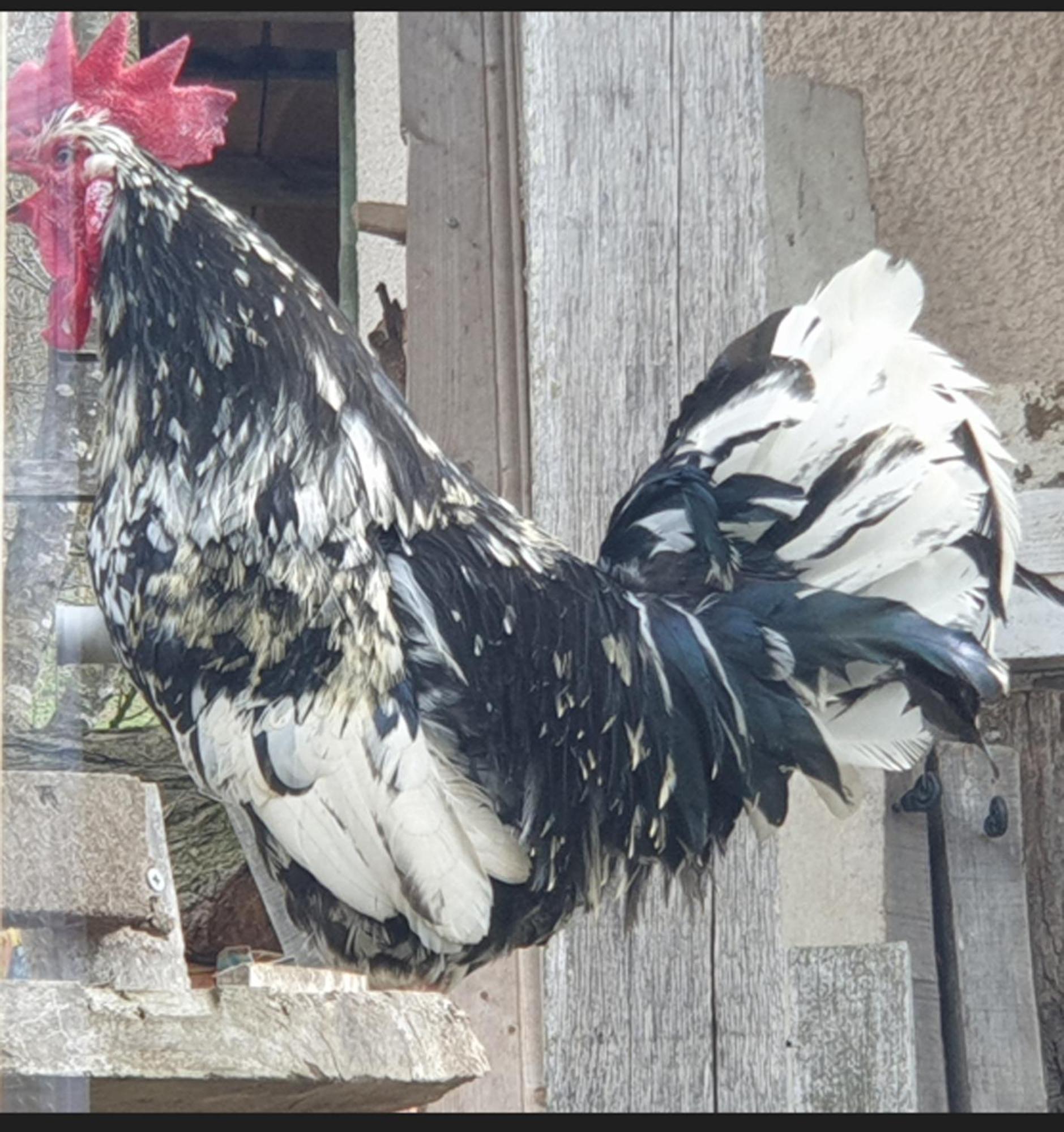 Seuls En Pleine Nature - Gite La Cote Blanche Puygaillard-de-Quercy Esterno foto